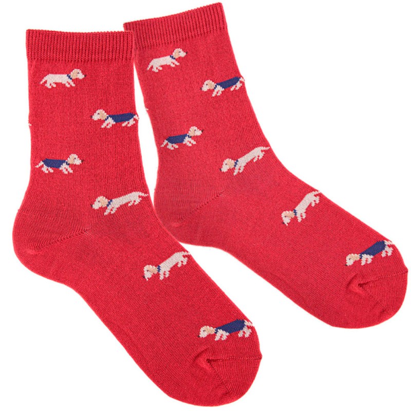 CALCETIN CONDOR CORTO