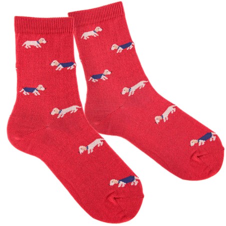 CALCETIN CONDOR CORTO