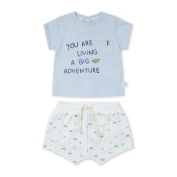 CONJUNTO