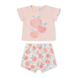 CONJUNTO