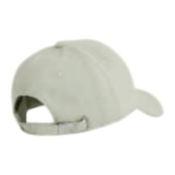 VISERA