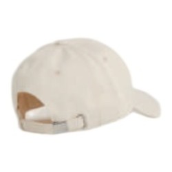 VISERA