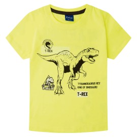 Camiseta Niño Yatsi Dinosaurio Rex