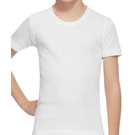 CAMISETA NIÑO M/C CANALE ALG.FABIO